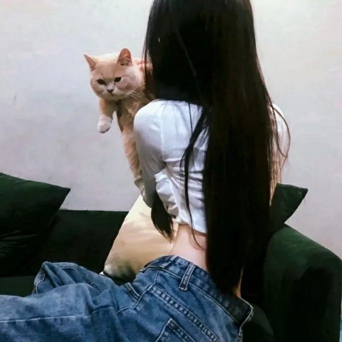 黑暗王子德古拉